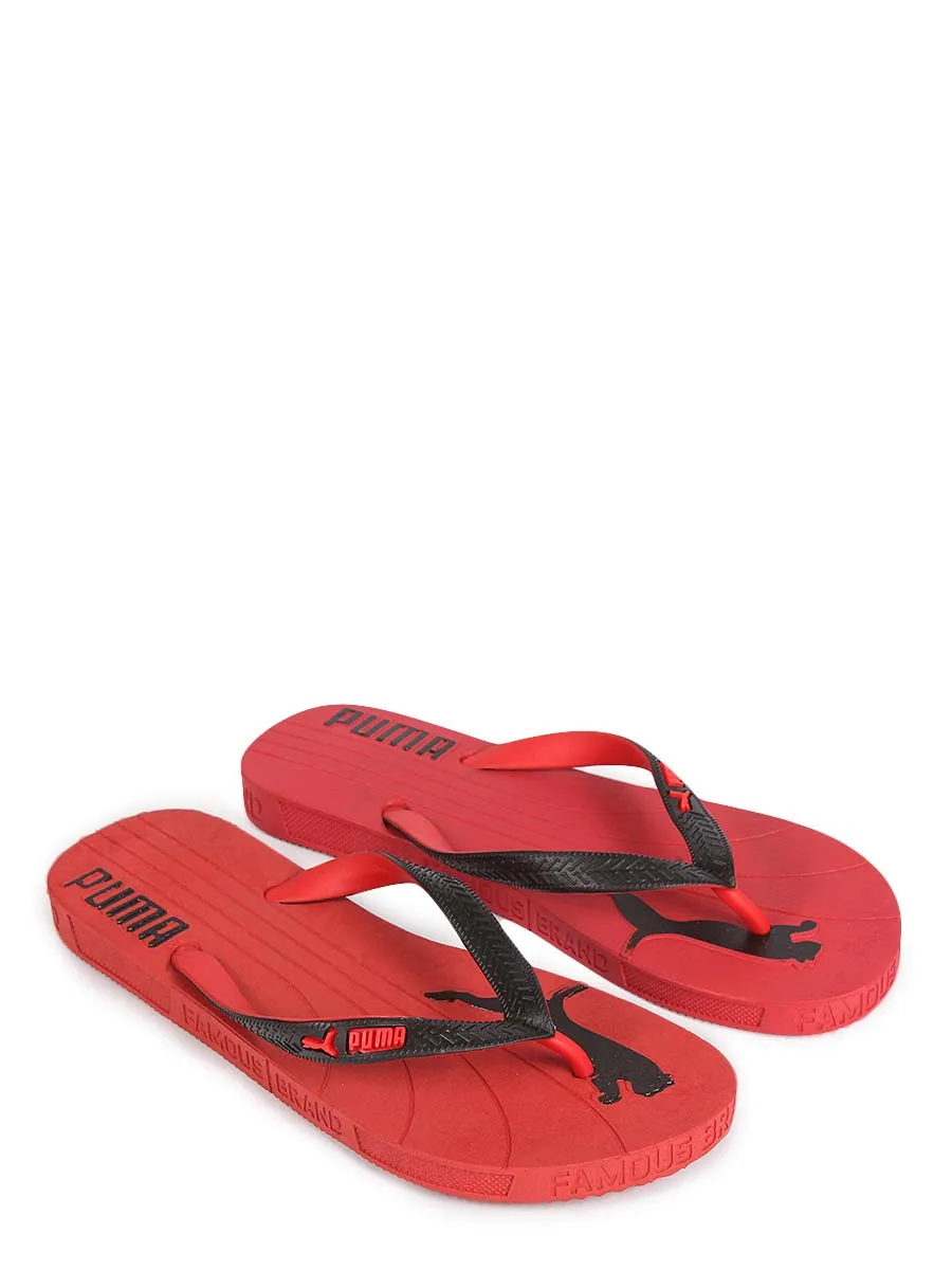 Famous Cat - Flip Flop - 921