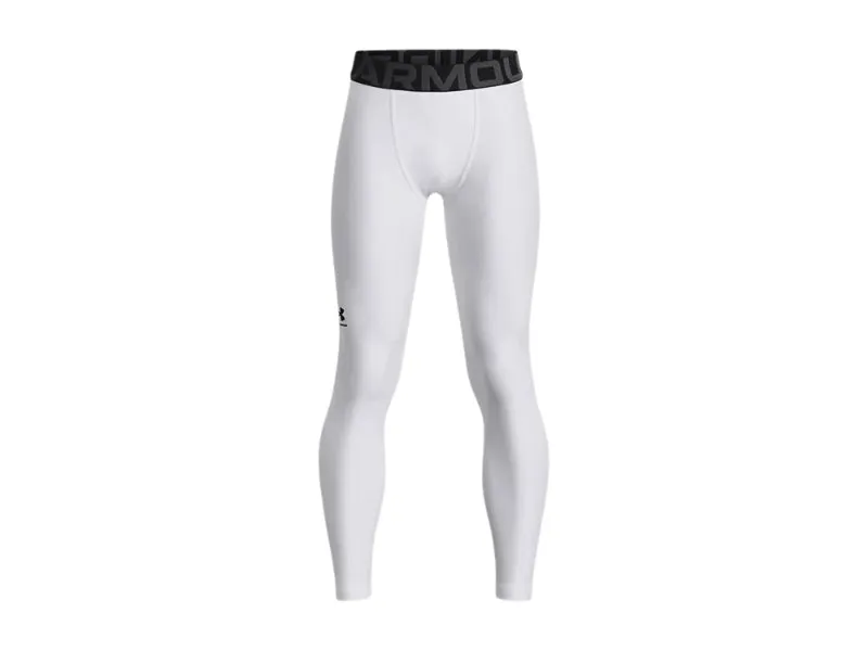 Under Armour HeatGear Youth Leggings